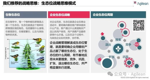 科技團隊治理能力成長路線圖