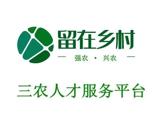 供銷社 喊你趕大集